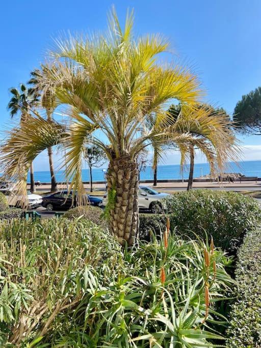 Grands En Bord De Apartment