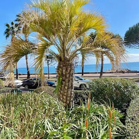 Grands Studio En Bord De Mer Cagnes-sur-Mer Exterior photo